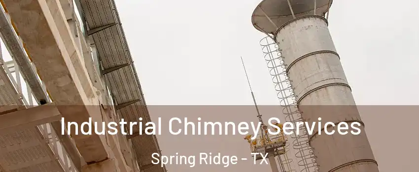 Industrial Chimney Services Spring Ridge - TX