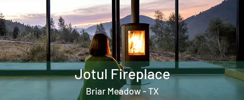 Jotul Fireplace Briar Meadow - TX