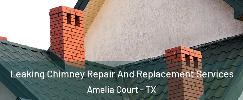 Leaking Chimney Repair And Replacement Services Amelia Court - TX