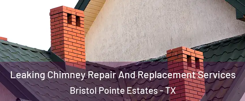 Leaking Chimney Repair And Replacement Services Bristol Pointe Estates - TX