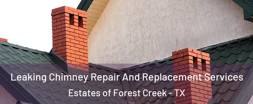 Leaking Chimney Repair And Replacement Services Estates of Forest Creek - TX