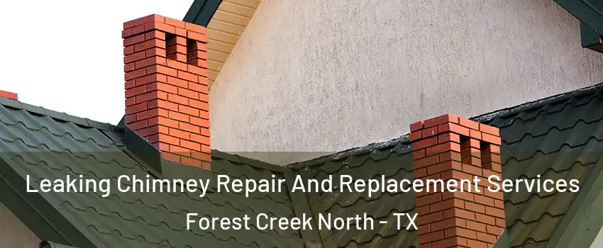 Leaking Chimney Repair And Replacement Services Forest Creek North - TX