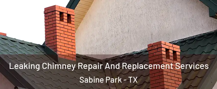 Leaking Chimney Repair And Replacement Services Sabine Park - TX