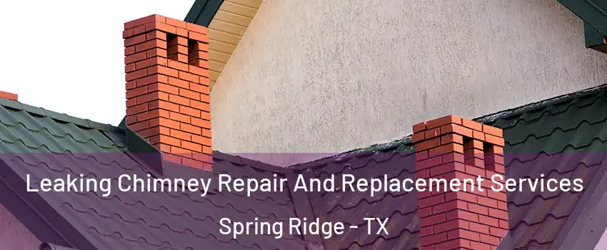 Leaking Chimney Repair And Replacement Services Spring Ridge - TX