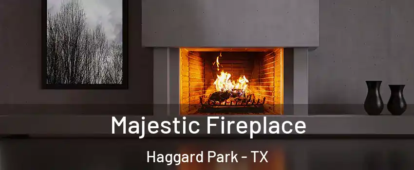 Majestic Fireplace Haggard Park - TX