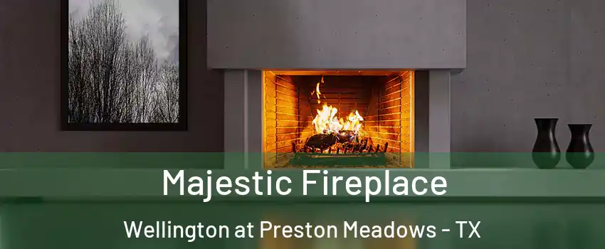 Majestic Fireplace Wellington at Preston Meadows - TX