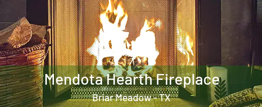 Mendota Hearth Fireplace Briar Meadow - TX