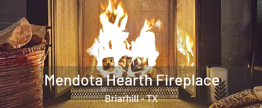 Mendota Hearth Fireplace Briarhill - TX