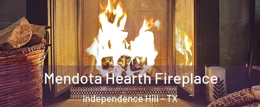 Mendota Hearth Fireplace Independence Hill - TX