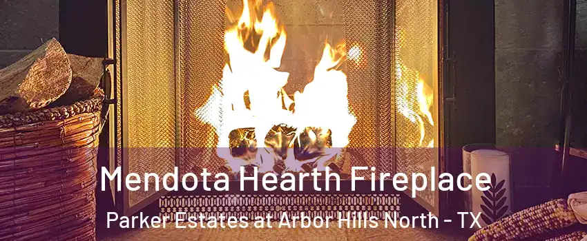 Mendota Hearth Fireplace Parker Estates at Arbor Hills North - TX