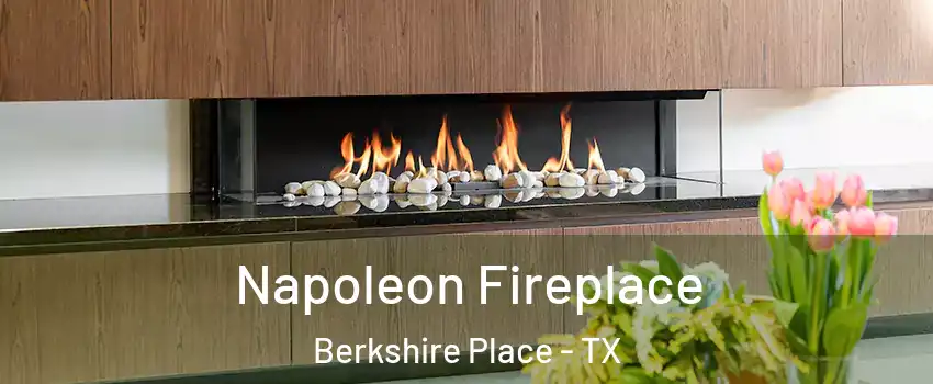 Napoleon Fireplace Berkshire Place - TX