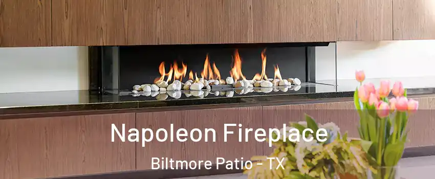 Napoleon Fireplace Biltmore Patio - TX