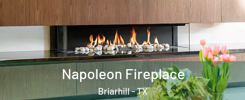 Napoleon Fireplace Briarhill - TX