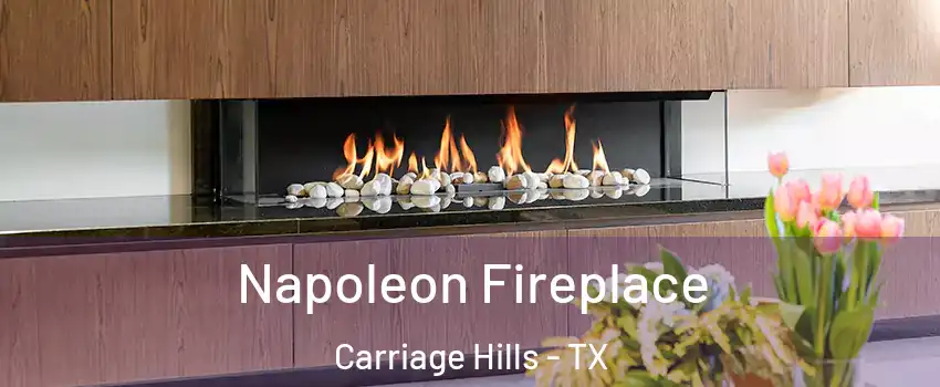 Napoleon Fireplace Carriage Hills - TX