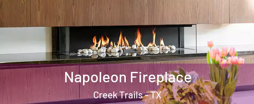 Napoleon Fireplace Creek Trails - TX