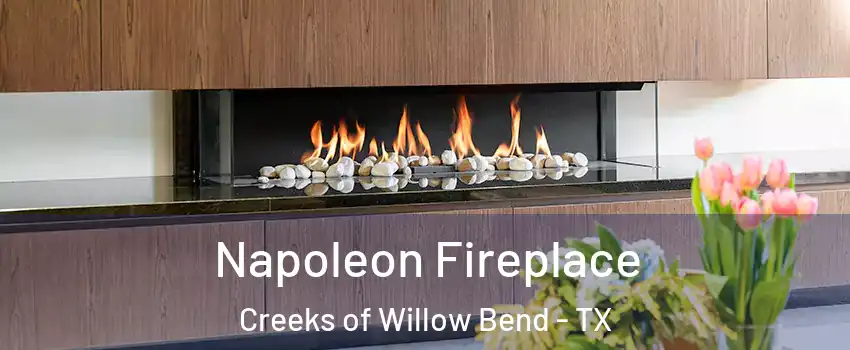 Napoleon Fireplace Creeks of Willow Bend - TX