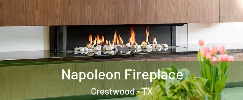 Napoleon Fireplace Crestwood - TX