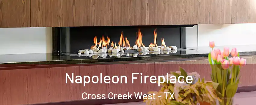 Napoleon Fireplace Cross Creek West - TX