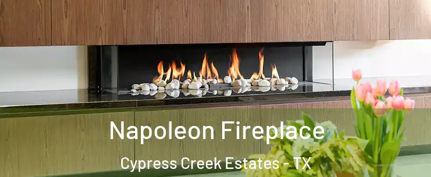 Napoleon Fireplace Cypress Creek Estates - TX