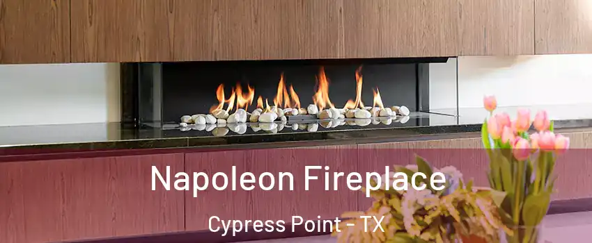 Napoleon Fireplace Cypress Point - TX