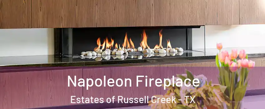 Napoleon Fireplace Estates of Russell Creek - TX