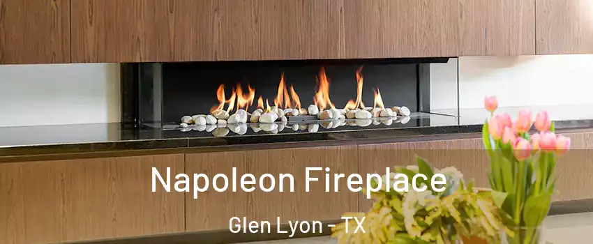 Napoleon Fireplace Glen Lyon - TX