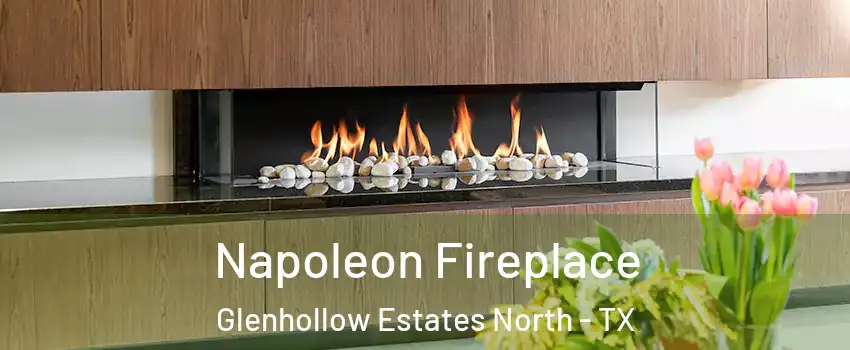 Napoleon Fireplace Glenhollow Estates North - TX