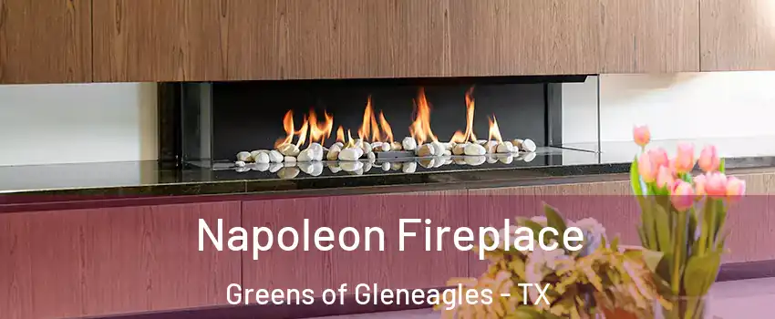 Napoleon Fireplace Greens of Gleneagles - TX