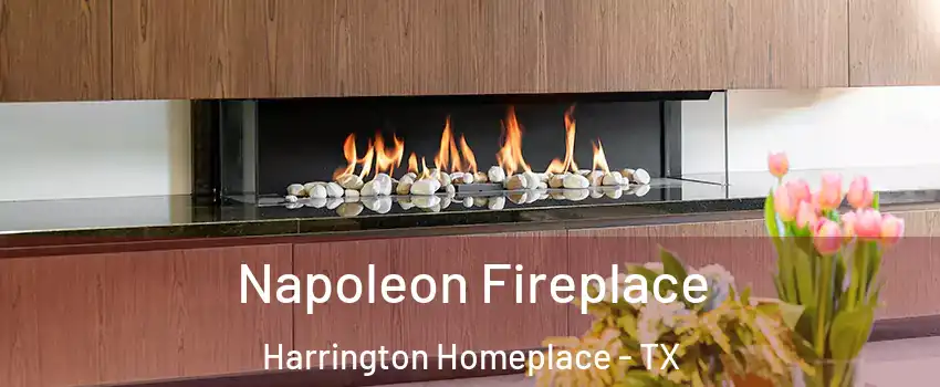 Napoleon Fireplace Harrington Homeplace - TX