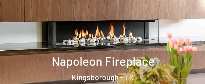 Napoleon Fireplace Kingsborough - TX