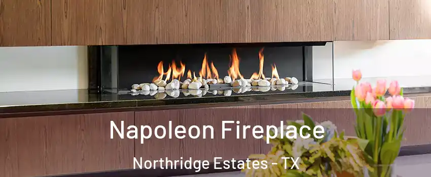 Napoleon Fireplace Northridge Estates - TX