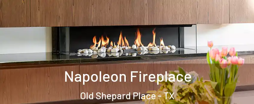 Napoleon Fireplace Old Shepard Place - TX