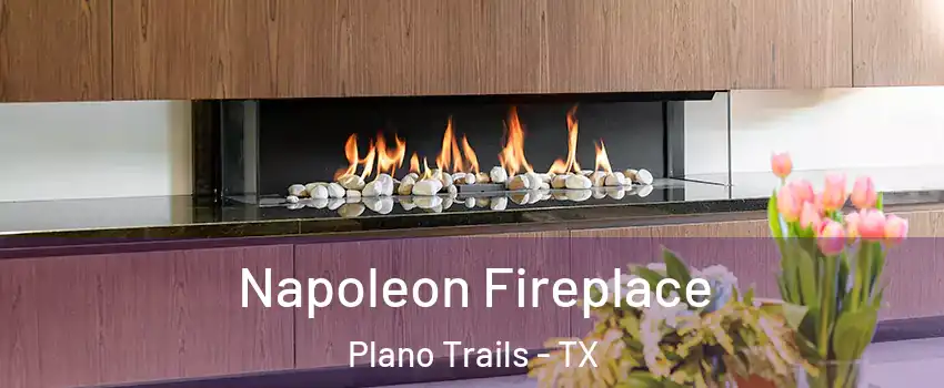 Napoleon Fireplace Plano Trails - TX