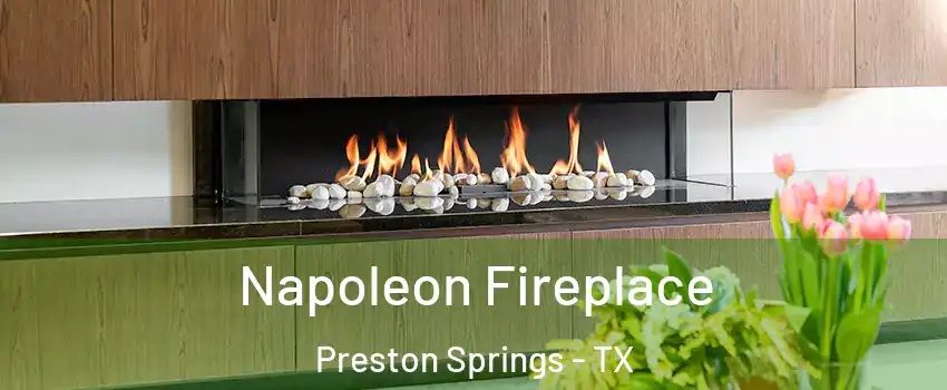 Napoleon Fireplace Preston Springs - TX