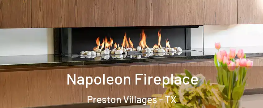 Napoleon Fireplace Preston Villages - TX