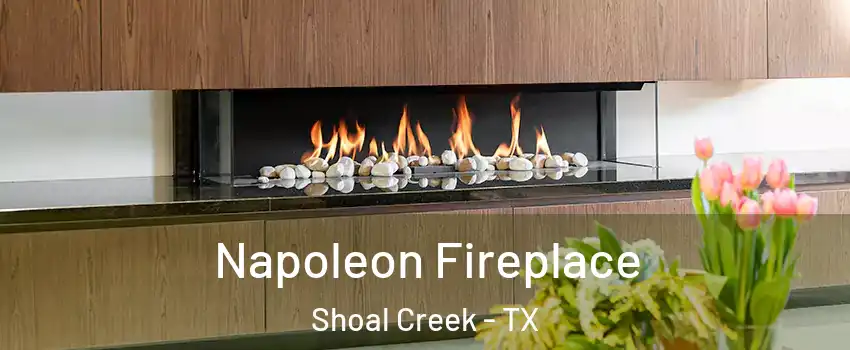 Napoleon Fireplace Shoal Creek - TX