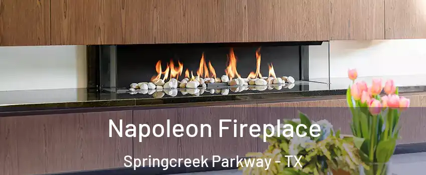 Napoleon Fireplace Springcreek Parkway - TX