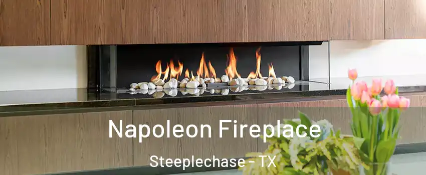 Napoleon Fireplace Steeplechase - TX