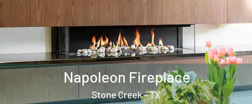 Napoleon Fireplace Stone Creek - TX