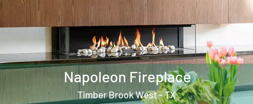 Napoleon Fireplace Timber Brook West - TX