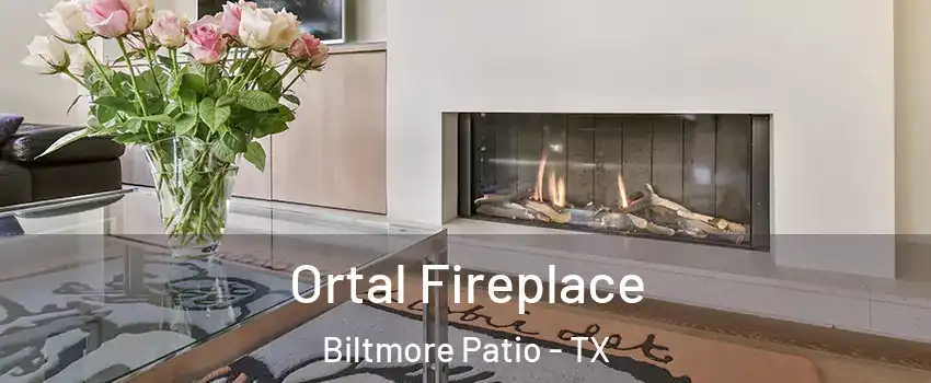 Ortal Fireplace Biltmore Patio - TX