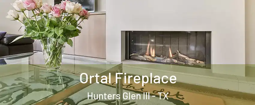 Ortal Fireplace Hunters Glen III - TX