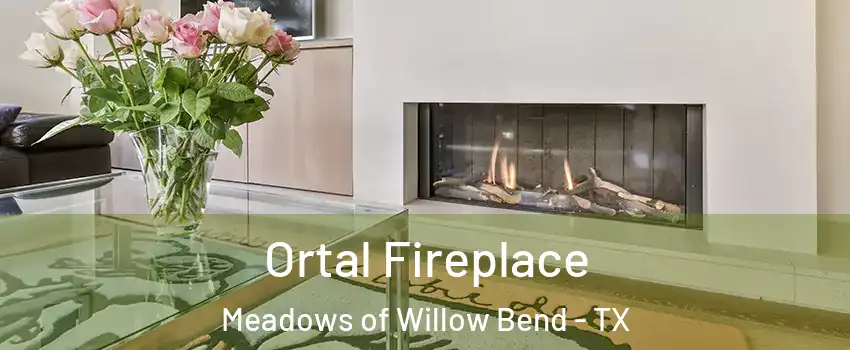 Ortal Fireplace Meadows of Willow Bend - TX