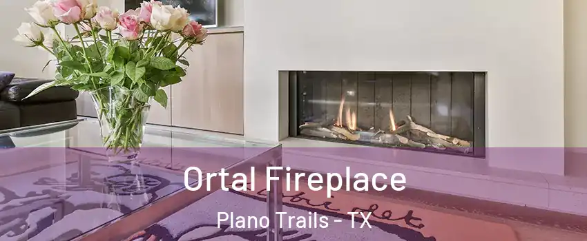 Ortal Fireplace Plano Trails - TX