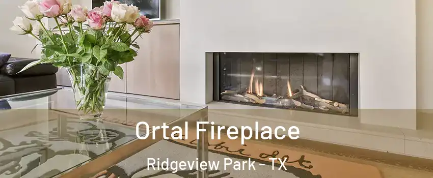 Ortal Fireplace Ridgeview Park - TX