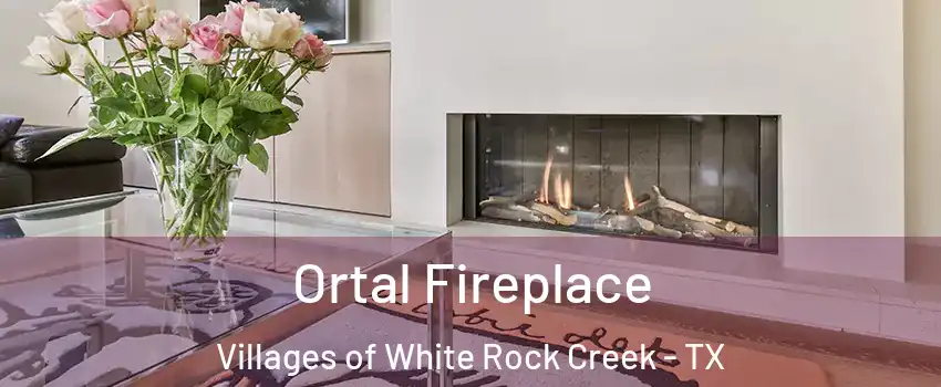 Ortal Fireplace Villages of White Rock Creek - TX