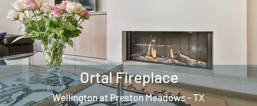 Ortal Fireplace Wellington at Preston Meadows - TX