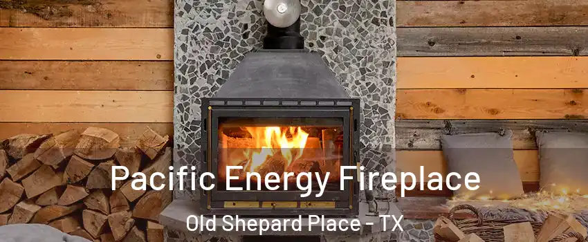 Pacific Energy Fireplace Old Shepard Place - TX