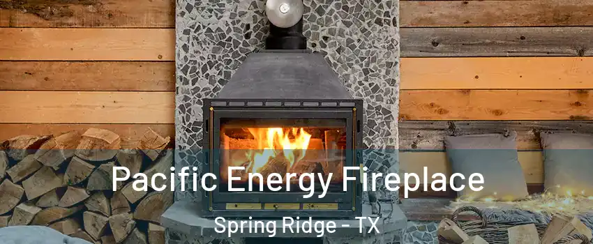 Pacific Energy Fireplace Spring Ridge - TX