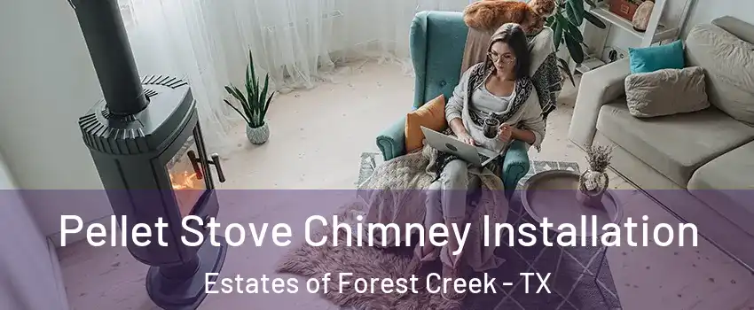 Pellet Stove Chimney Installation Estates of Forest Creek - TX